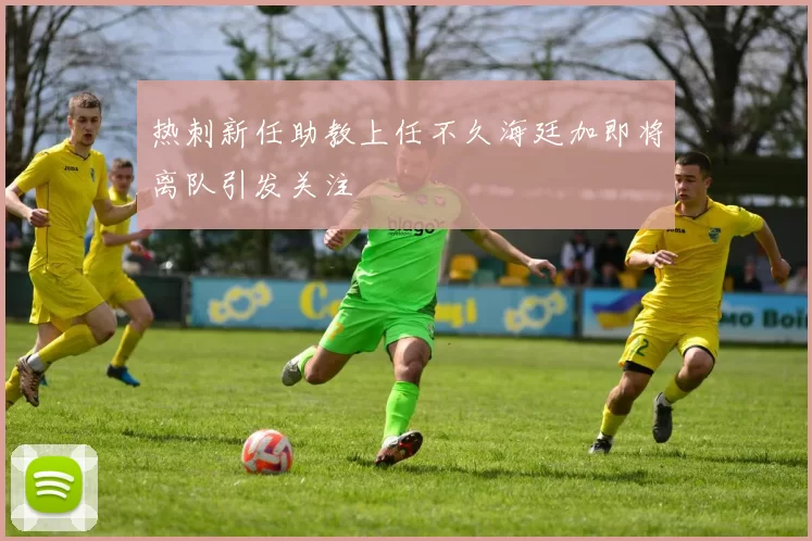 热刺新任助教上任不久海廷加即将离队引发关注